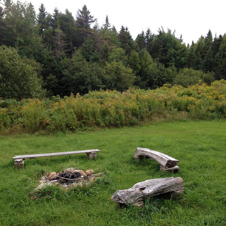 Pensjonat Breton Cove Farmhouse Indian Brook Zewnętrze zdjęcie